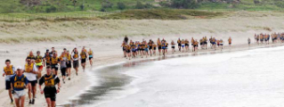 The Great Kauri Run