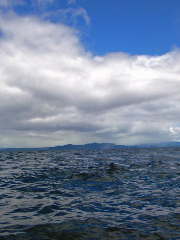 レイク・タウポ・シーカヤック / Lake Taupo Seakayak